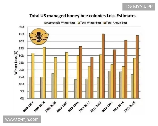 体育精神与创新融合推动全球运动发展新趋势探讨