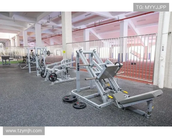 健身科学与日常训练融合助你打造强健体魄与高效生活方式全方位升级