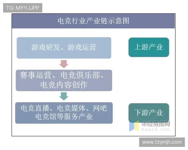 全球电竞产业崛起推动年轻文化融合与数字竞技未来发展趋势分析