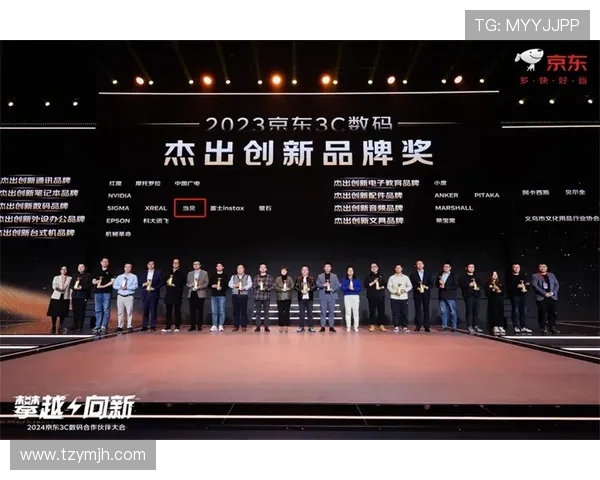 FPX战队技术解析与战术创新的深度探讨与展望