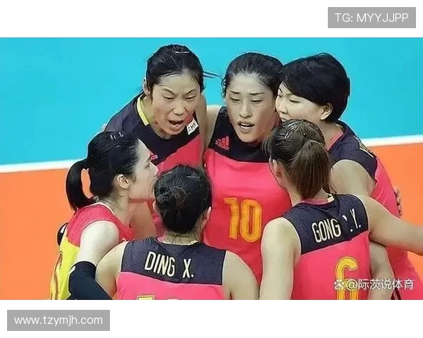 深圳排球队在全国排球速度排行榜中荣获第七名的佳绩引发关注