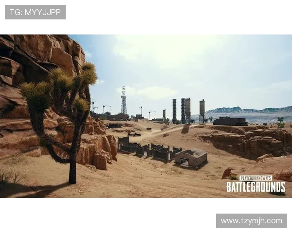 RulerADC引领赛场风潮深度解析其在电子竞技中的崛起与影响力