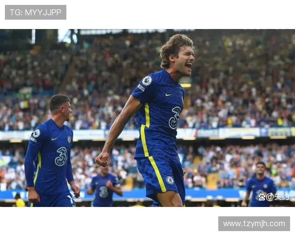 卡迪夫城与纽卡斯尔联的激烈对决谁能笑到最后